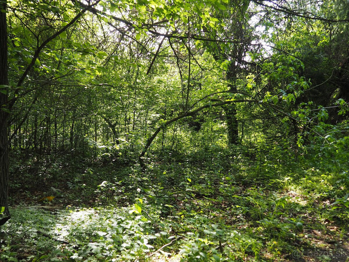 Exkluzívne Predáme pozemok na Kopaniciach