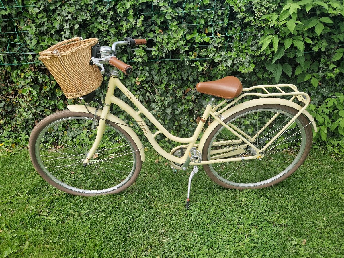 Retro bike