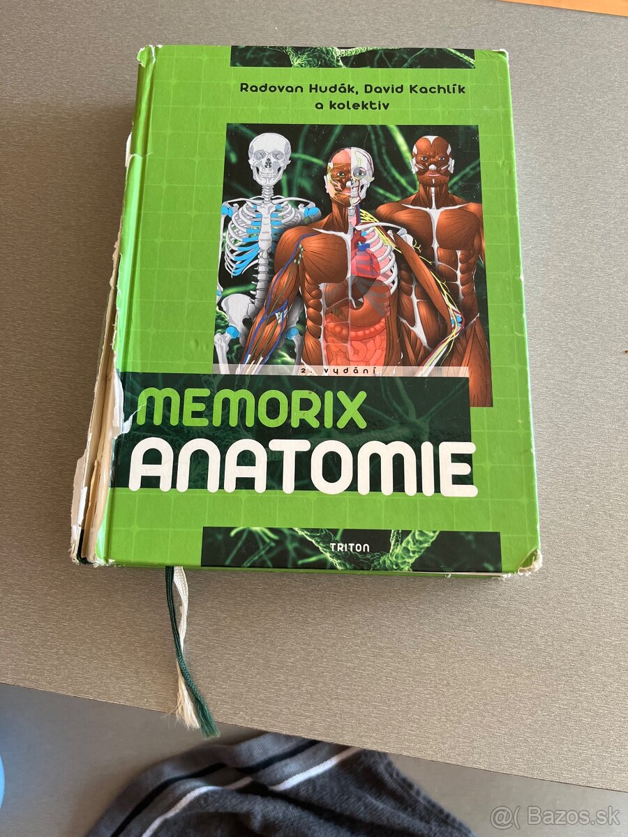 Memorix Anatómie