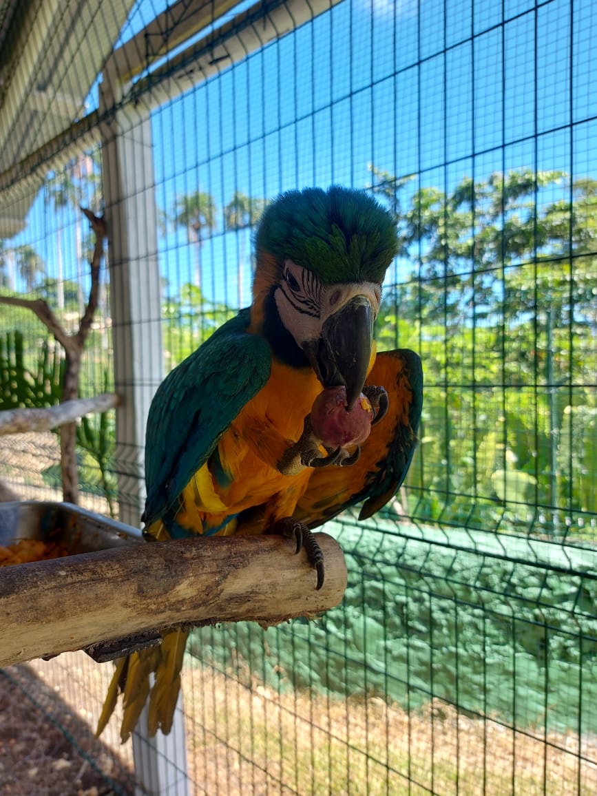 Manažér zooparku (Dominikánska republika)