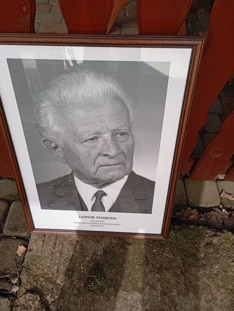 Obraz prezidenta, prezident.