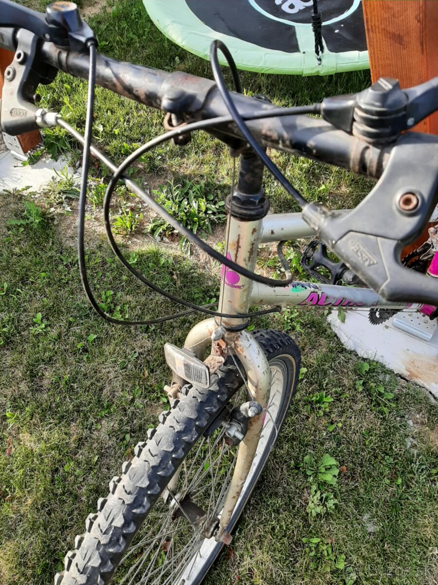 Horský bicykel