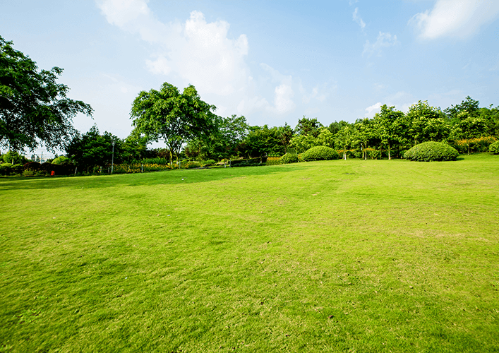 Pozemok v Prešove a okoli.