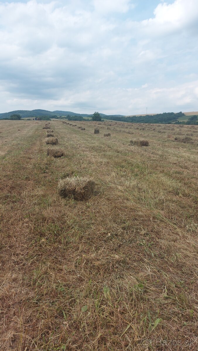 Predám seno pre hospodárske zvierata