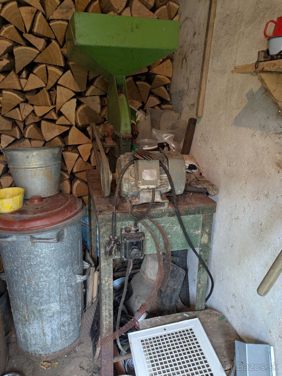 Kladivkovy srotovnik