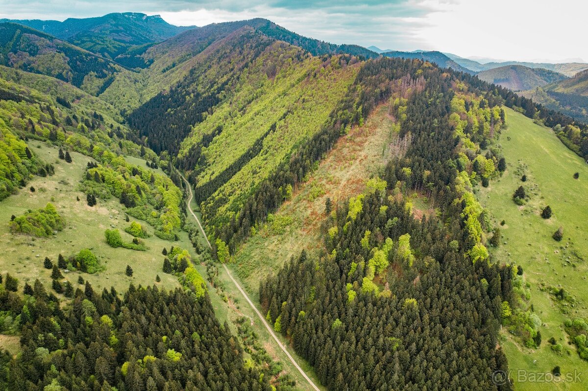 PREDAJ LESNÉHO POZEMKU RAJECKÁ LESNÁ