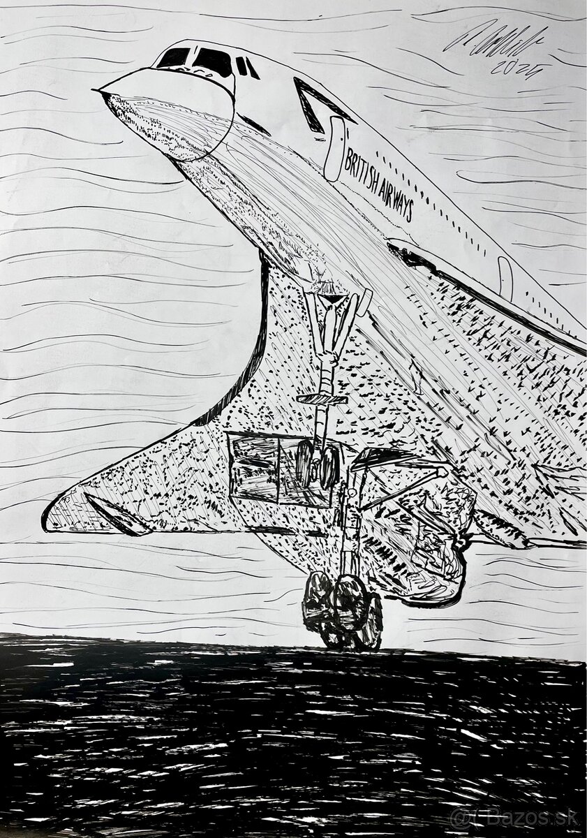 Obraz Concorde