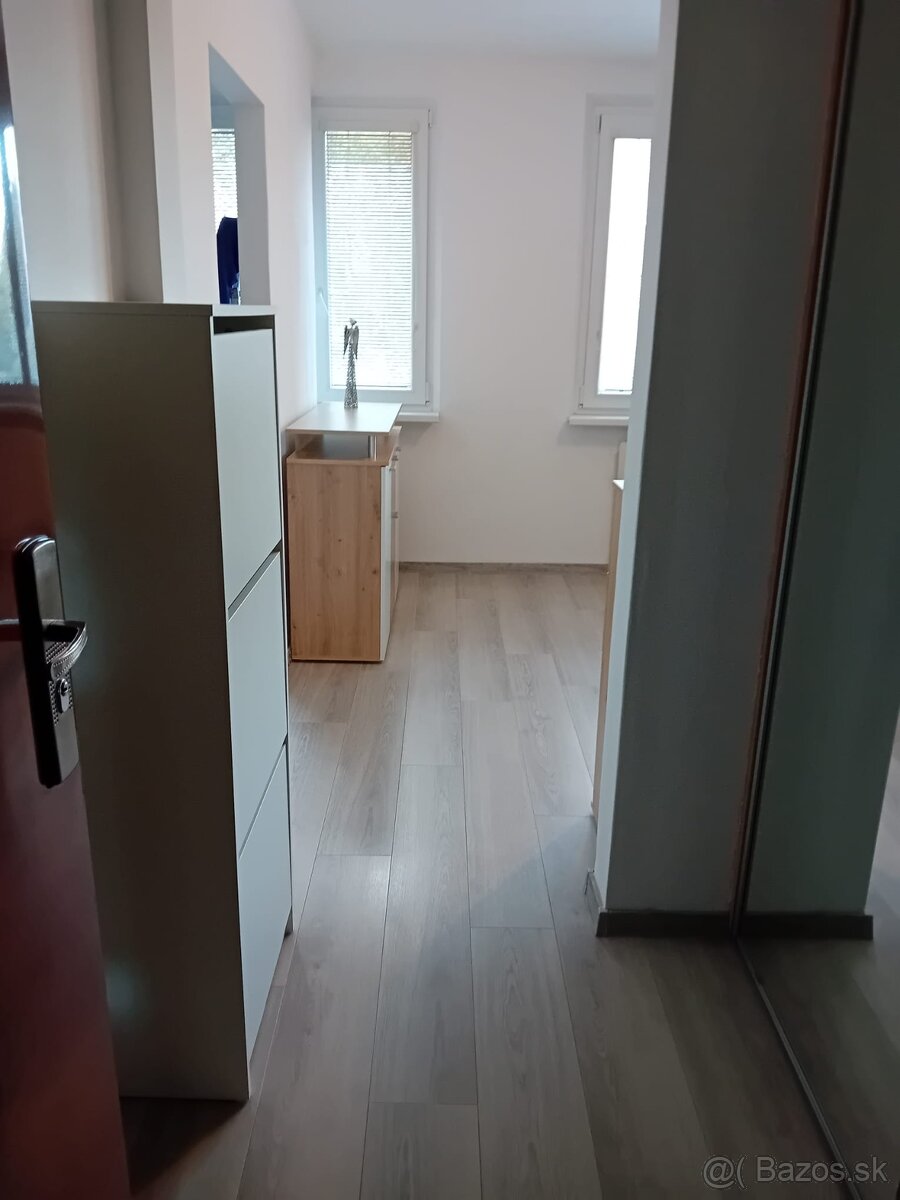 Na prenájom 1 izbový byt