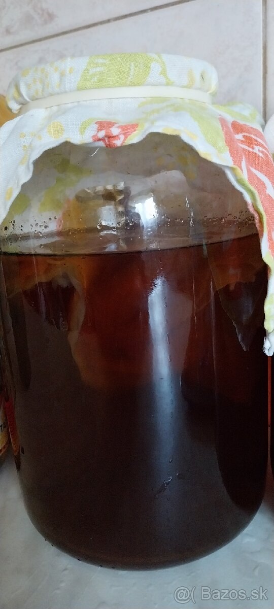 Kombucha