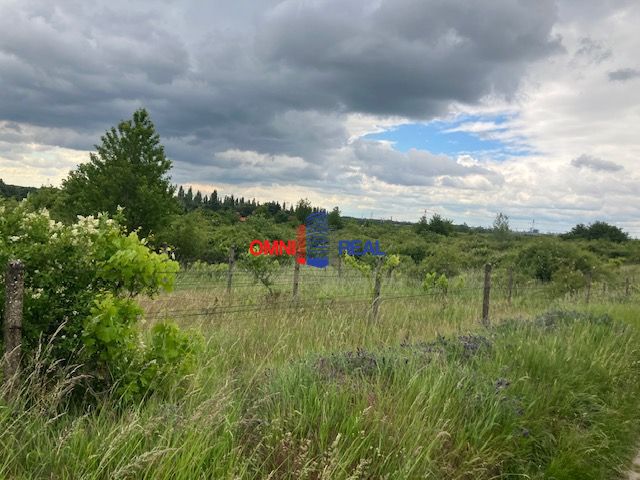 Vinohrad Svätý Jur, smerom na Bratislavu, lokalita Motyčky/Ž