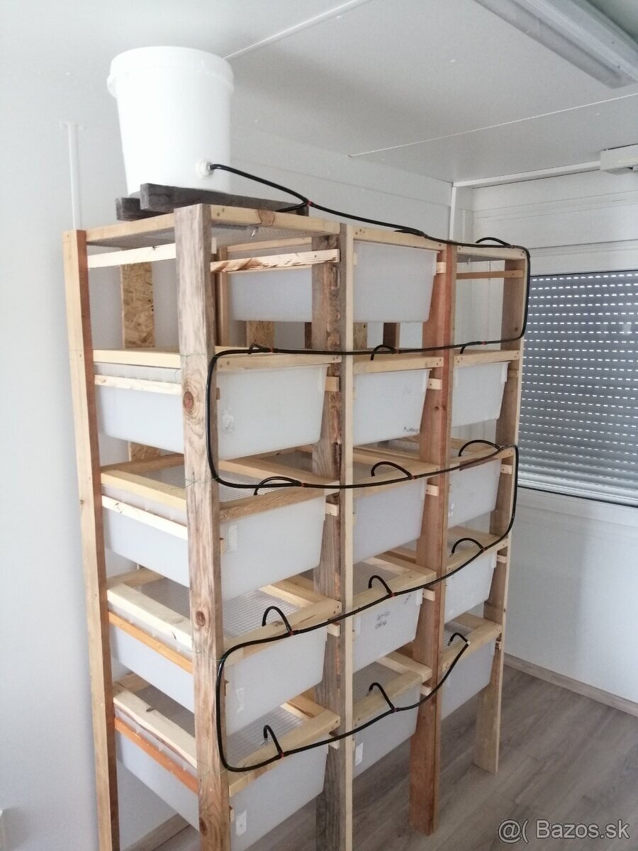 T3 box chov hlodavcov