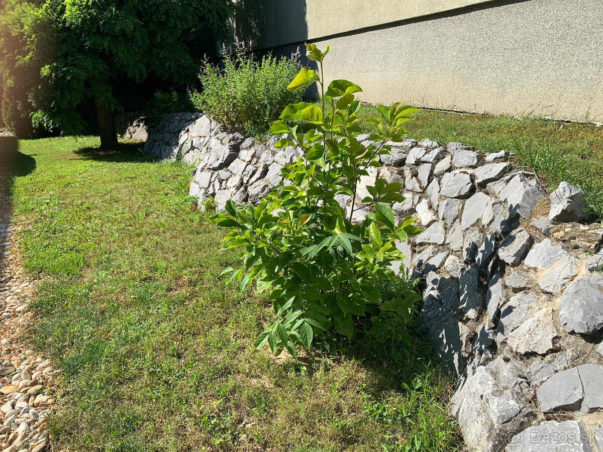 Udržiavanie domu a okolia v Nitre aj mimo Nitry