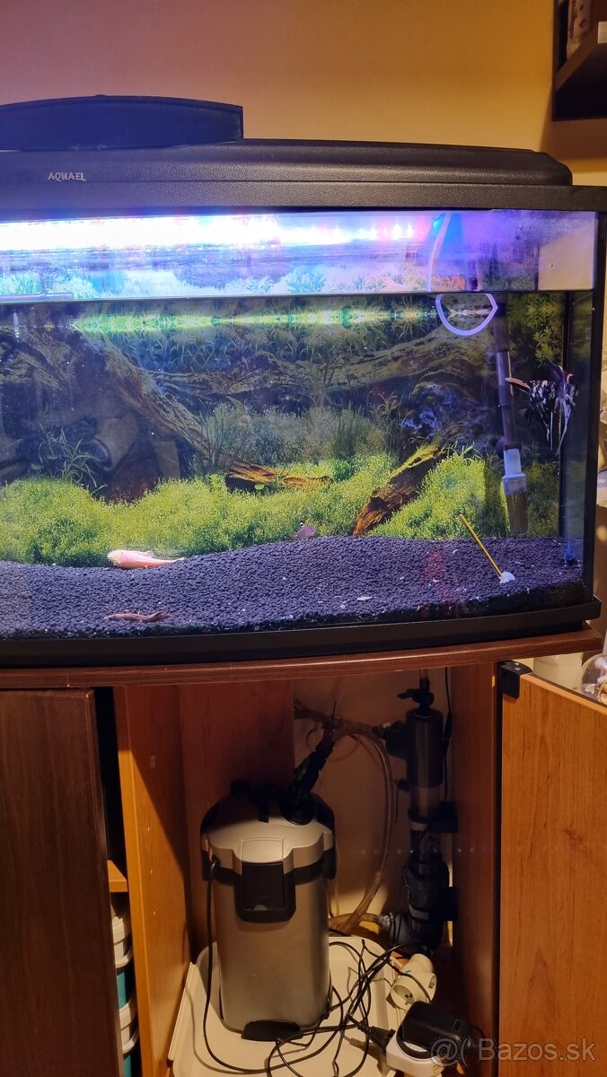 Zaoblené akvárium 240l predaj