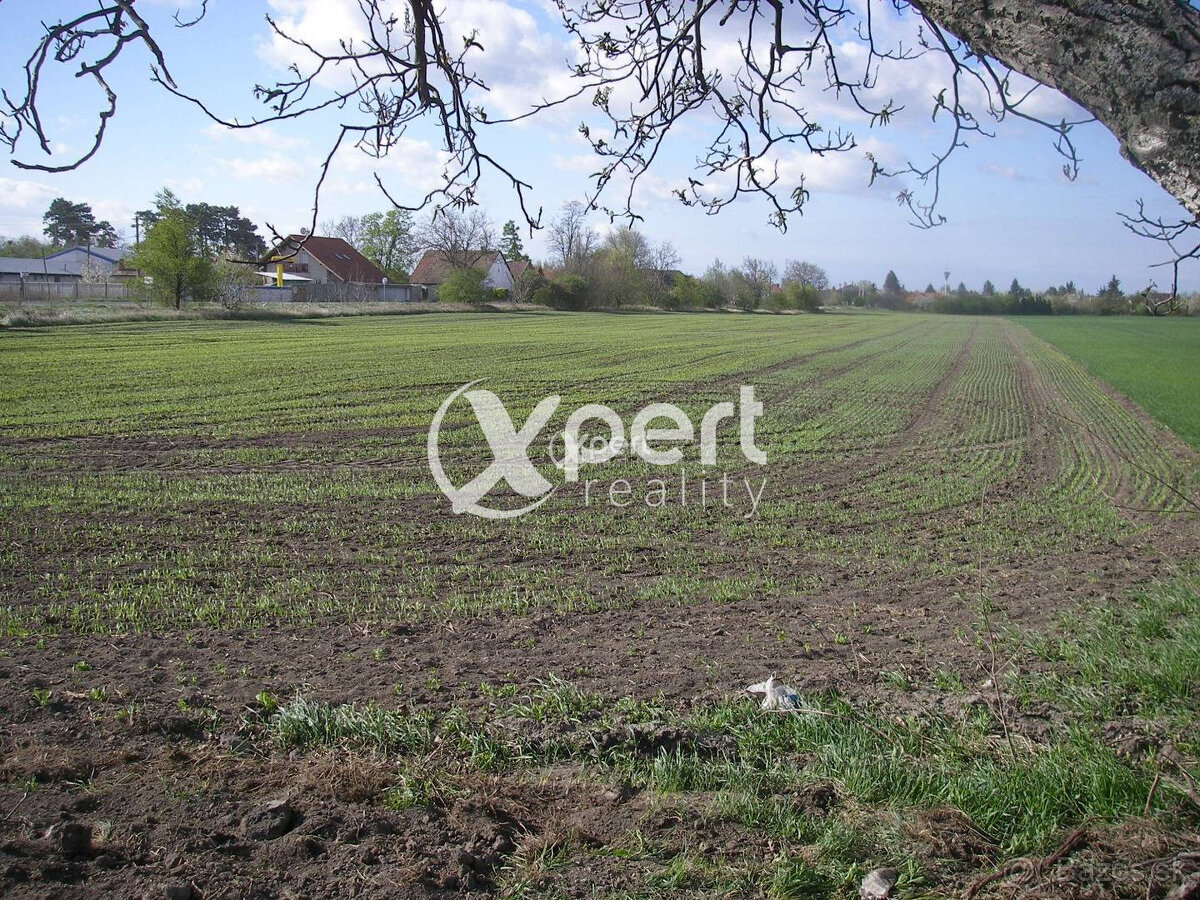 Hľadáme Poľnohospodárske a lesné pozemky cele Slovensko