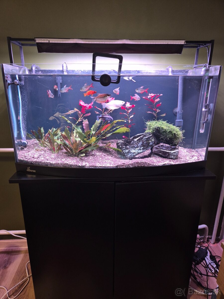 Akvárium komplet