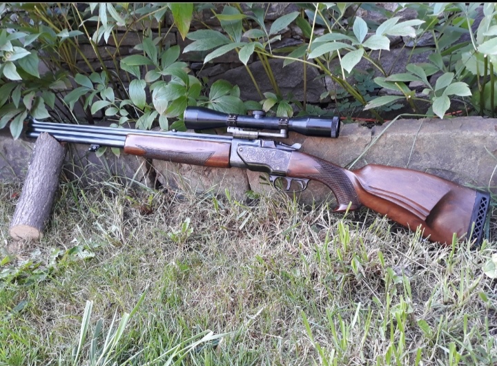 Guľobrok ZH