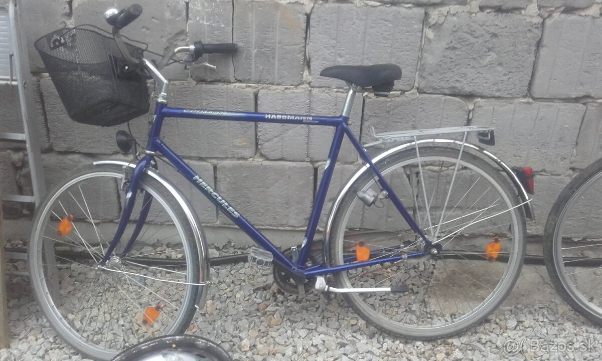mestsky bicykel pansky