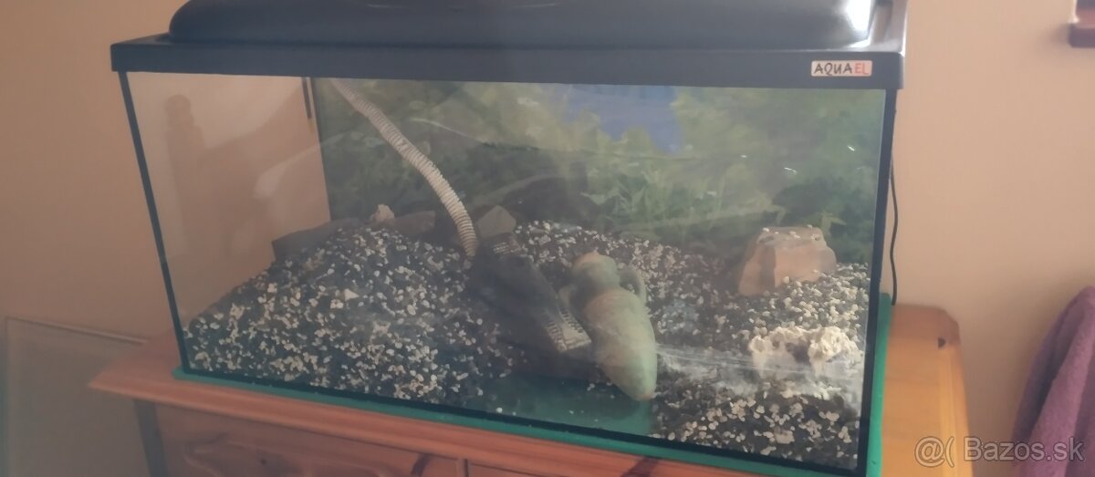 Akvárium 120 L.
