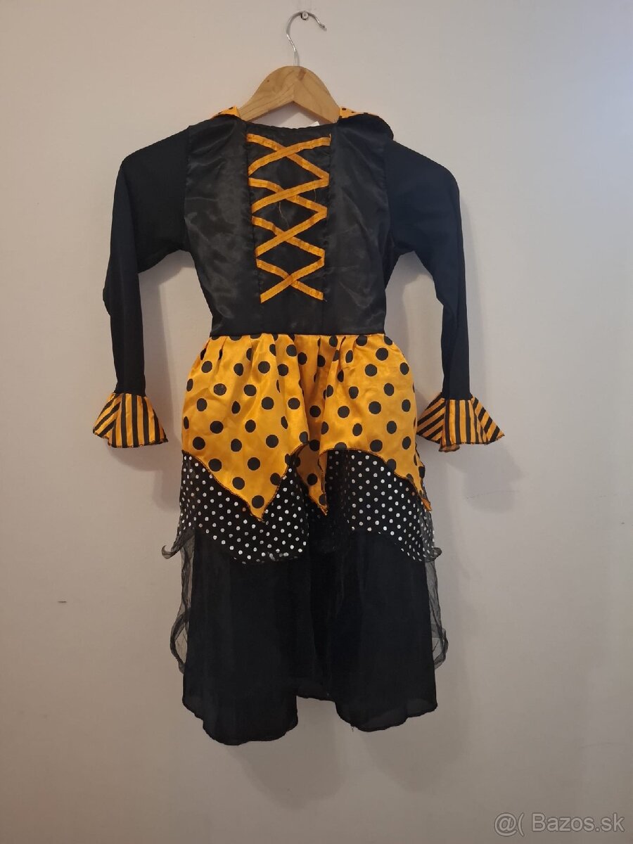 Karnevalový kostým