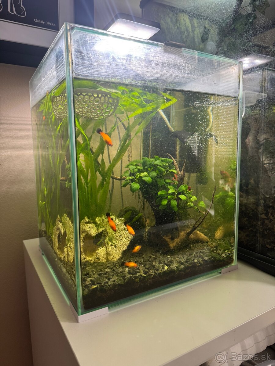 Zabehnuté aqarium