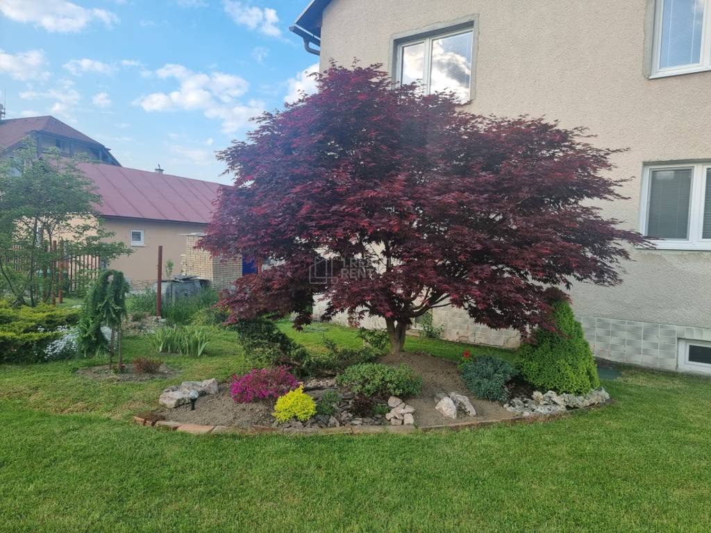 Predaj viacgeneračného domu s veľkým pozemkom v centre obce 