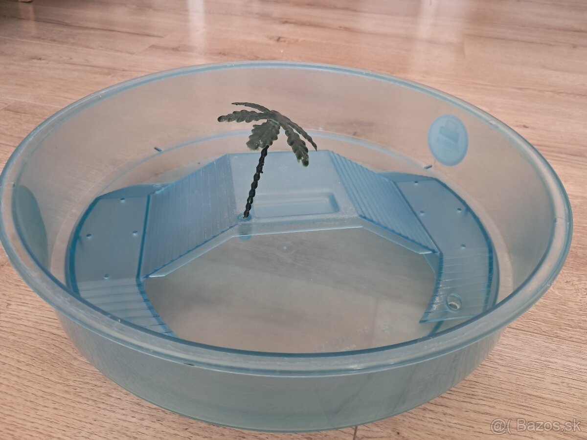 Akvárium pre korytnačku