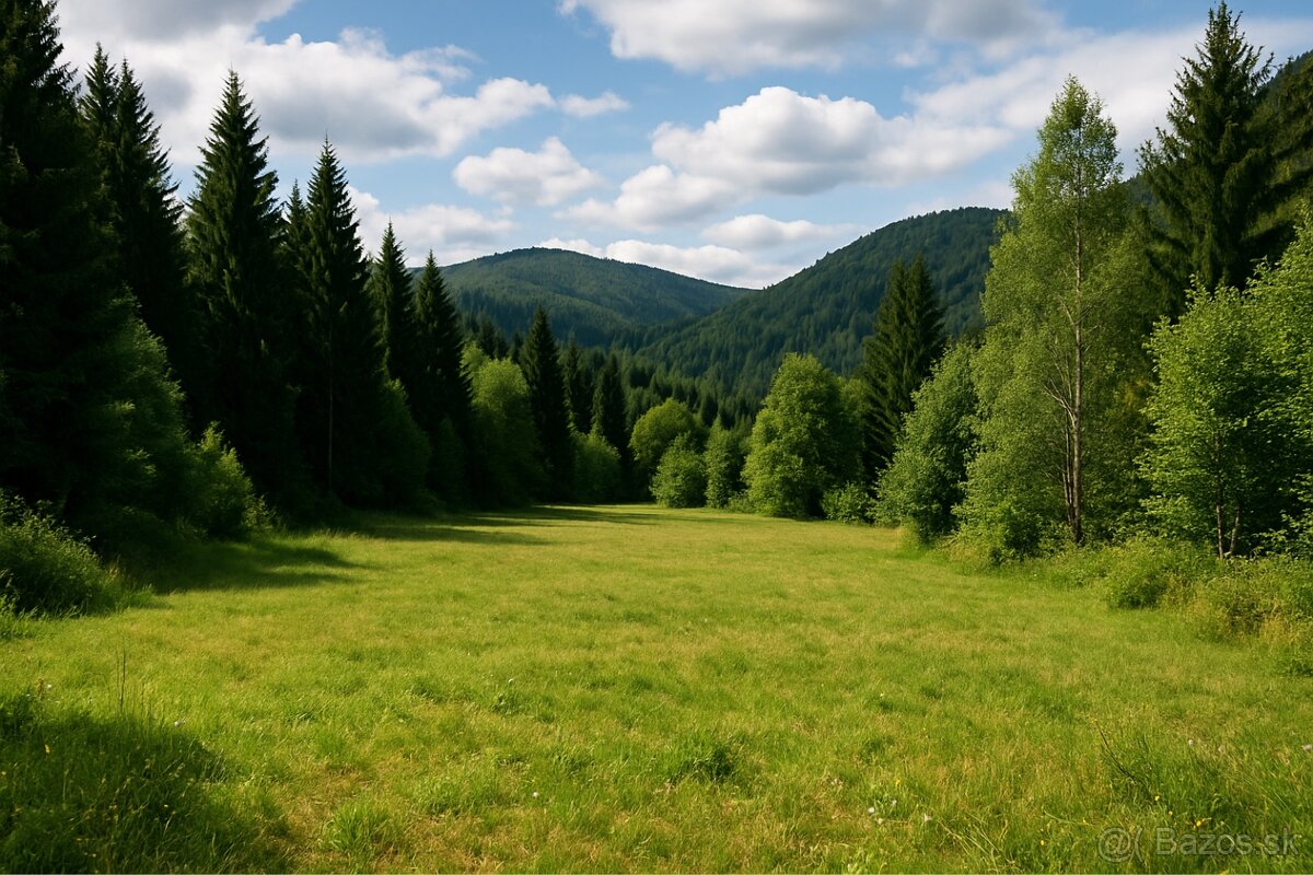 Zháňam pozemok