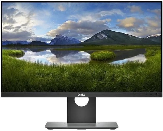 23,8" Dell P2418D