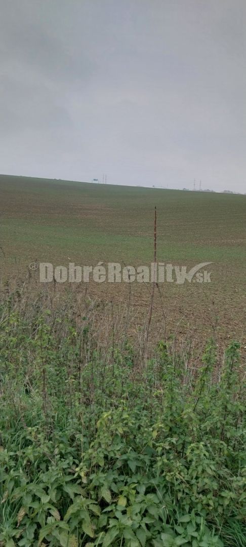 EXKLUZIVNE na predaj orná pôda Nitra - Kynek, ulica Na Doli