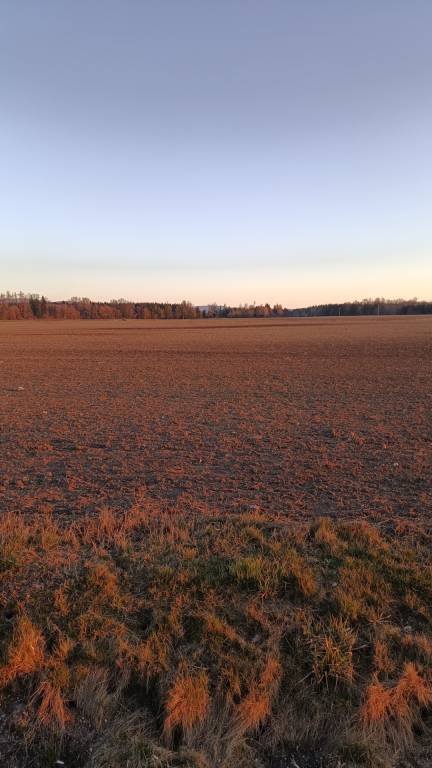 Turčianske Teplice - Diviaky - Orná pôda s výmerou 5571 m2