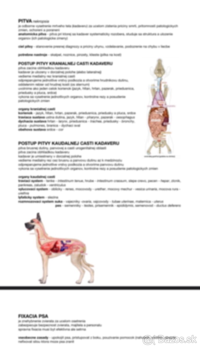 materialy na studium veterinarnej strednej skoly