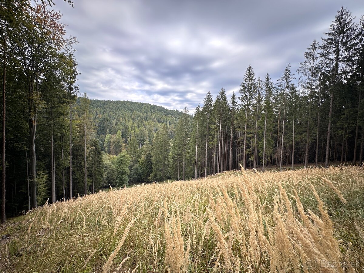 Rožňová, Bošianska Neporadza – 342 m2 ORNÁ PÔDA a LES