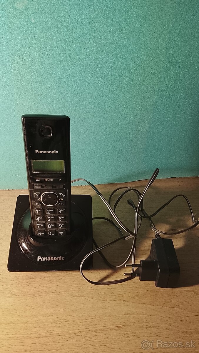 Panasonic