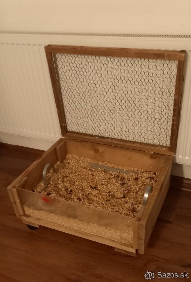 vybeh pre korytnačku