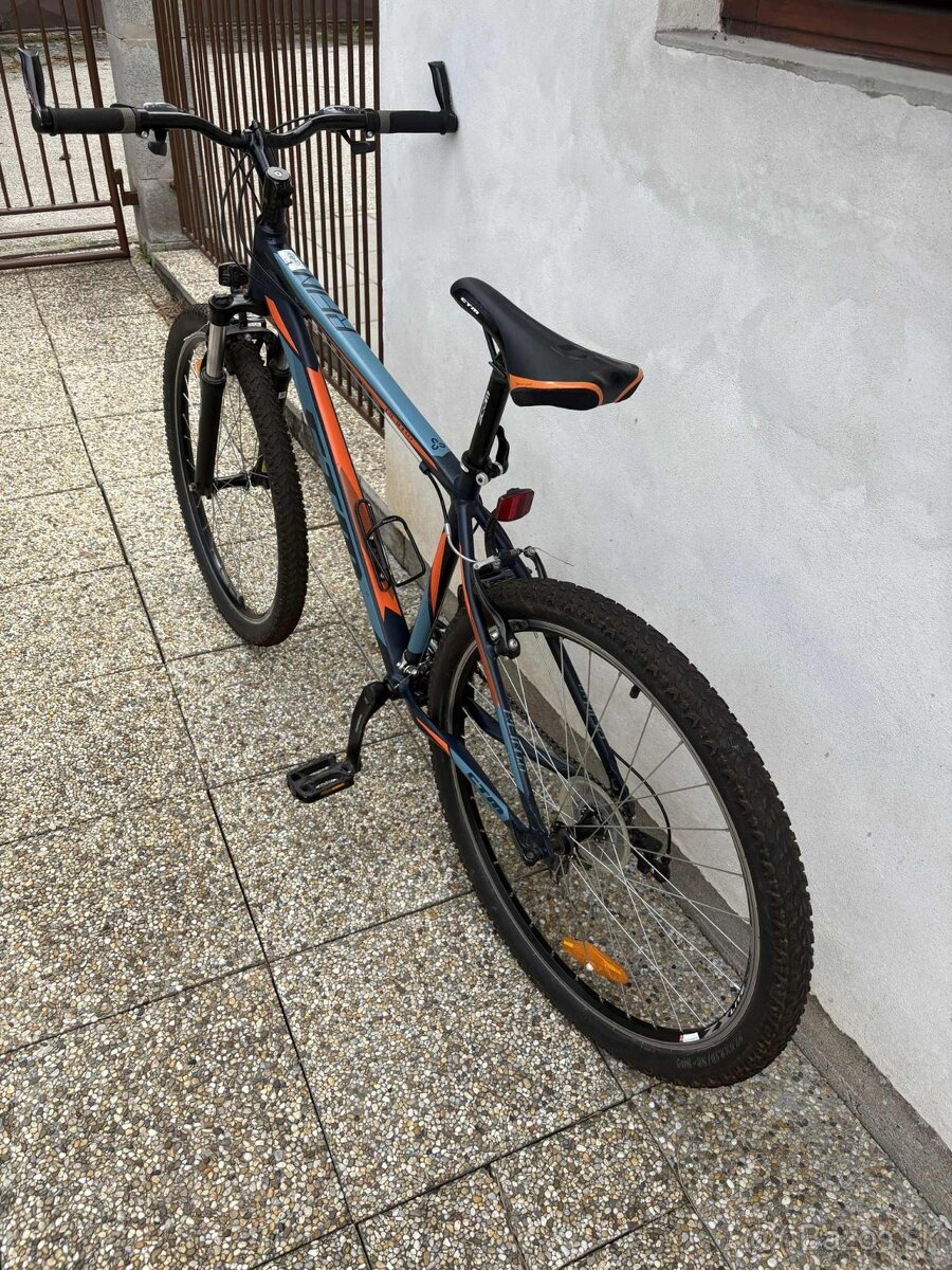 CTM REIN 1.0