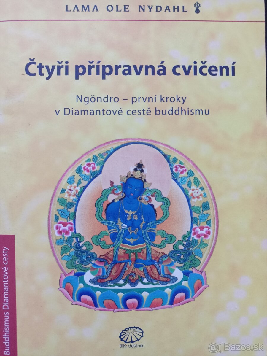 Knihy uvedeny v Kč a € zašlu i na Slovensko