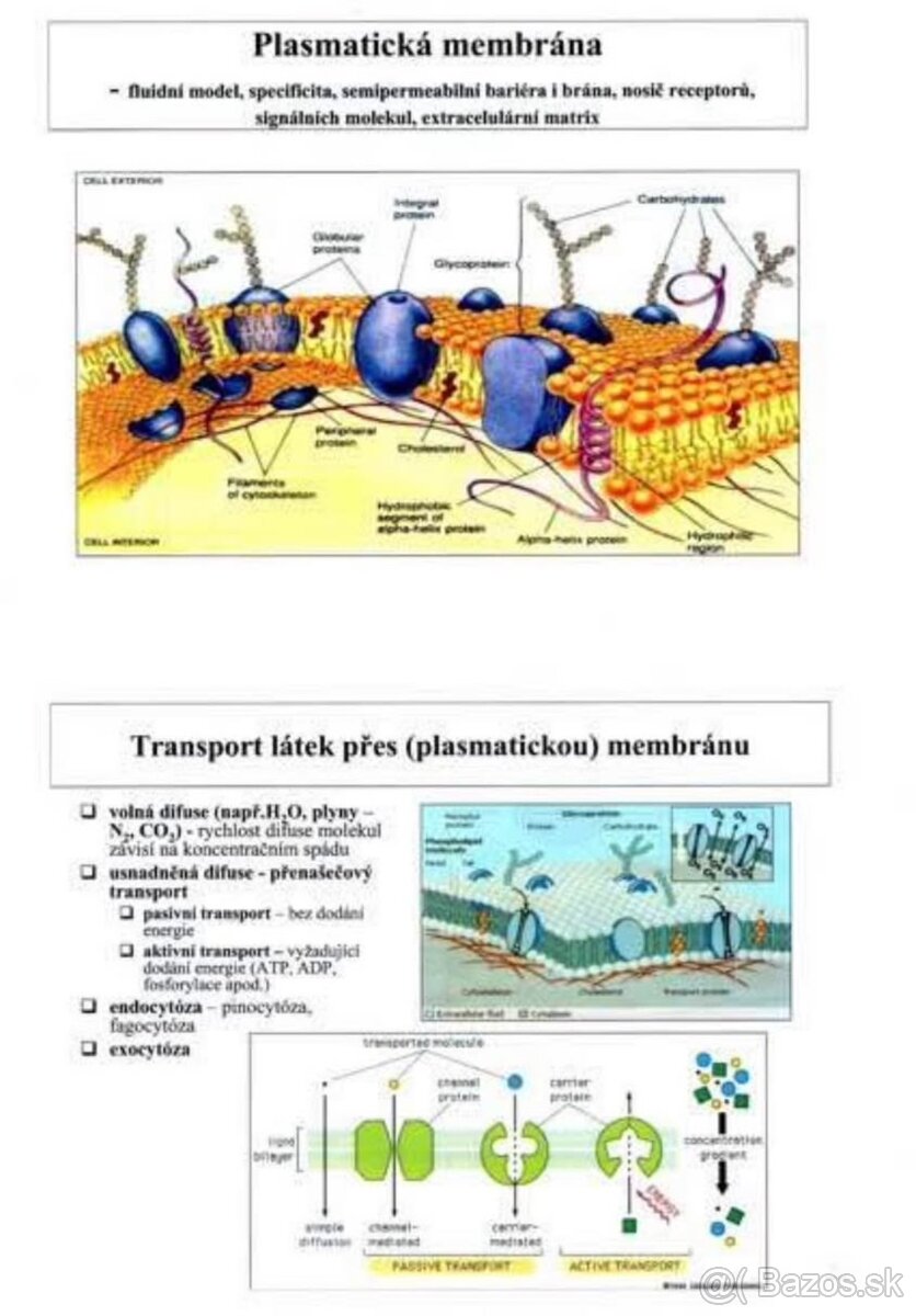 Materialy na prijimacie skusky na LF, Pharm,prirodovedecka