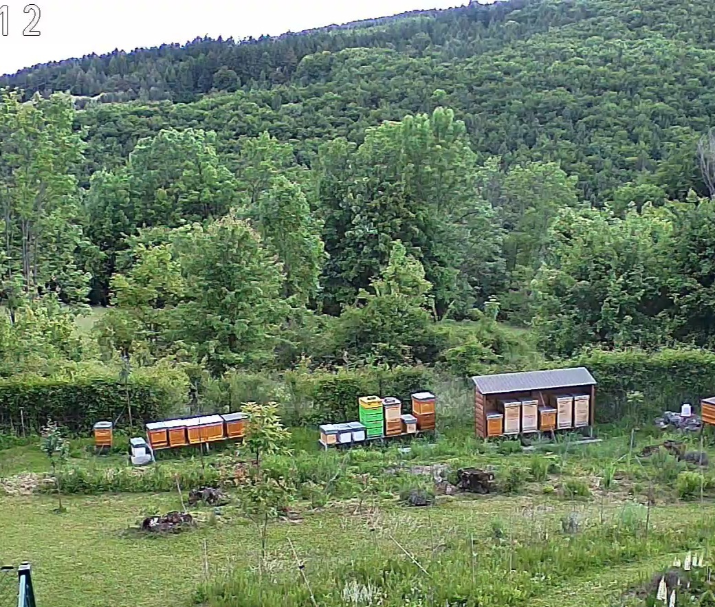 Včely - Včelie odložence