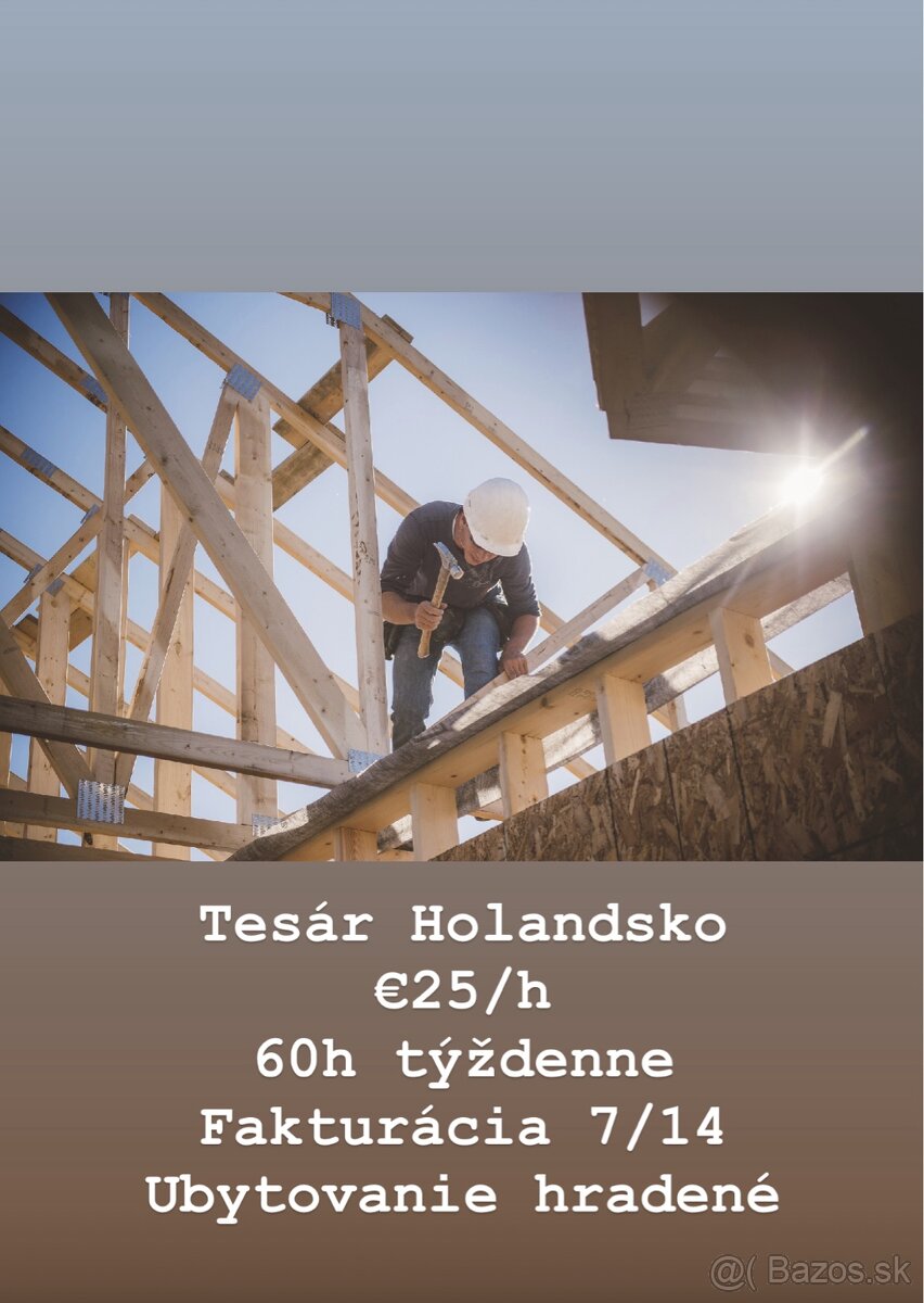 Tesár Holandsko