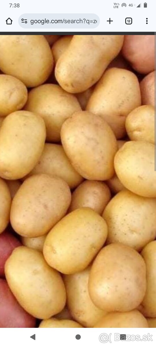 Zemiaky 15 kg za 6 eur