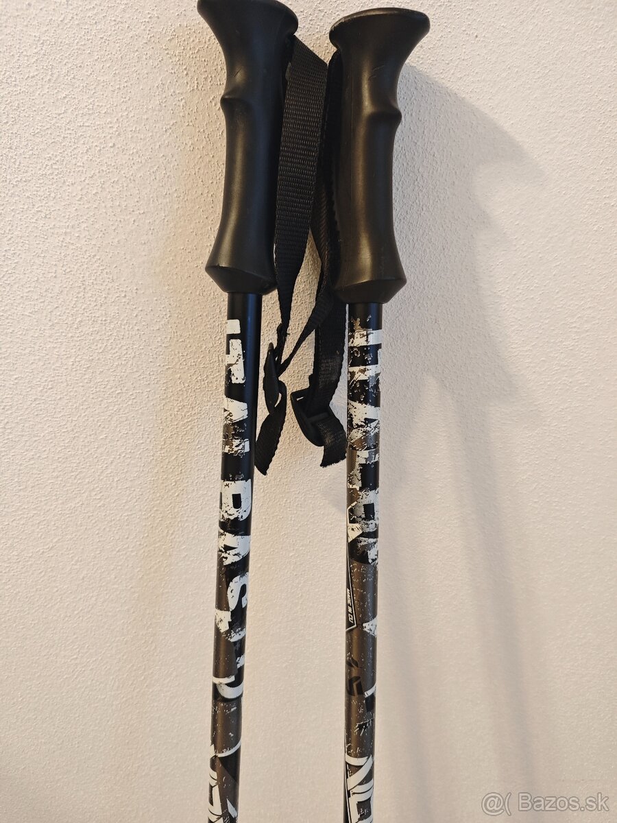 Lyžiarske palice