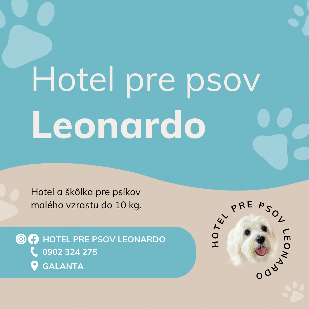 Hotel pre psov | Škôlka pre psov