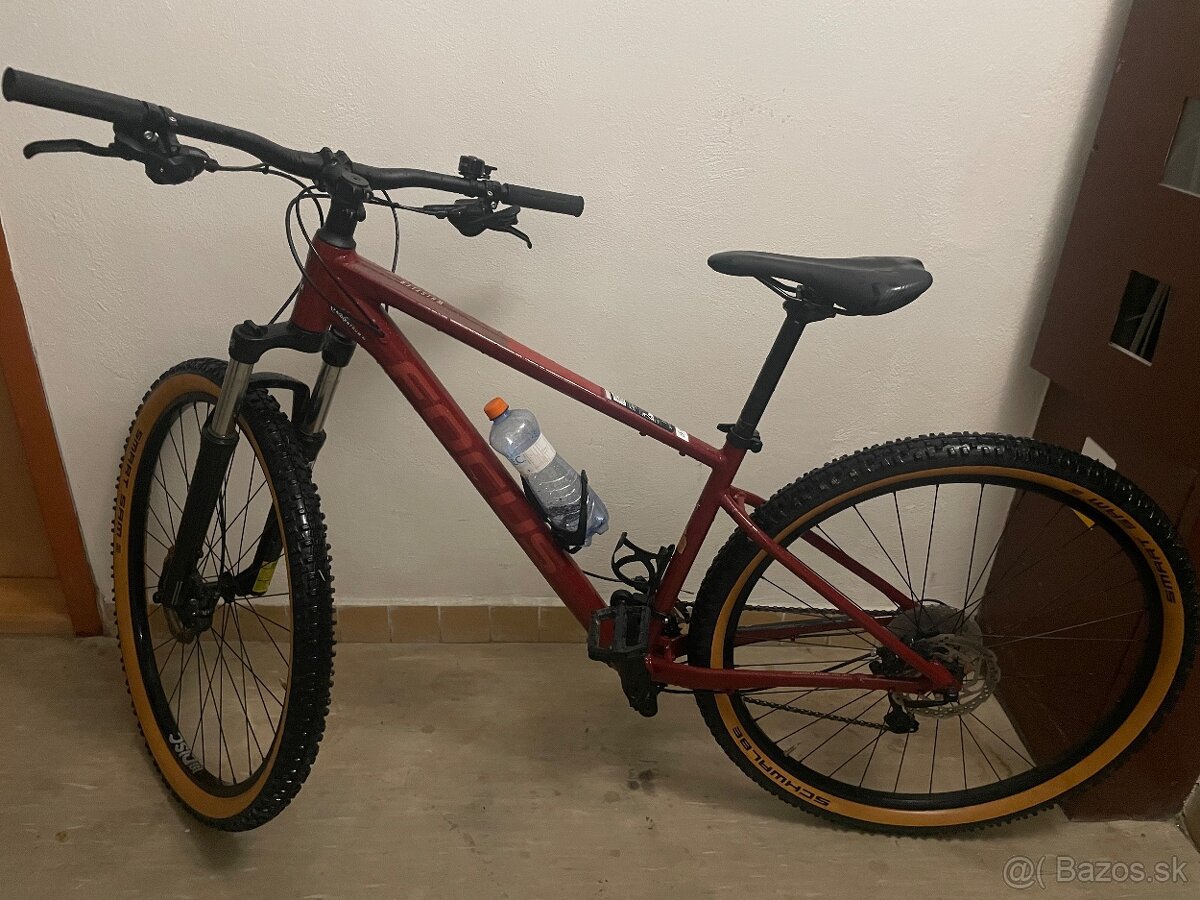 Focus whistler 3.7