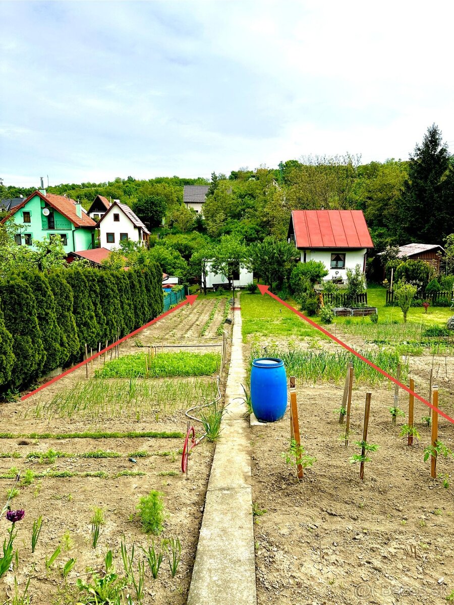 Záhradka Skalica, Koziny
