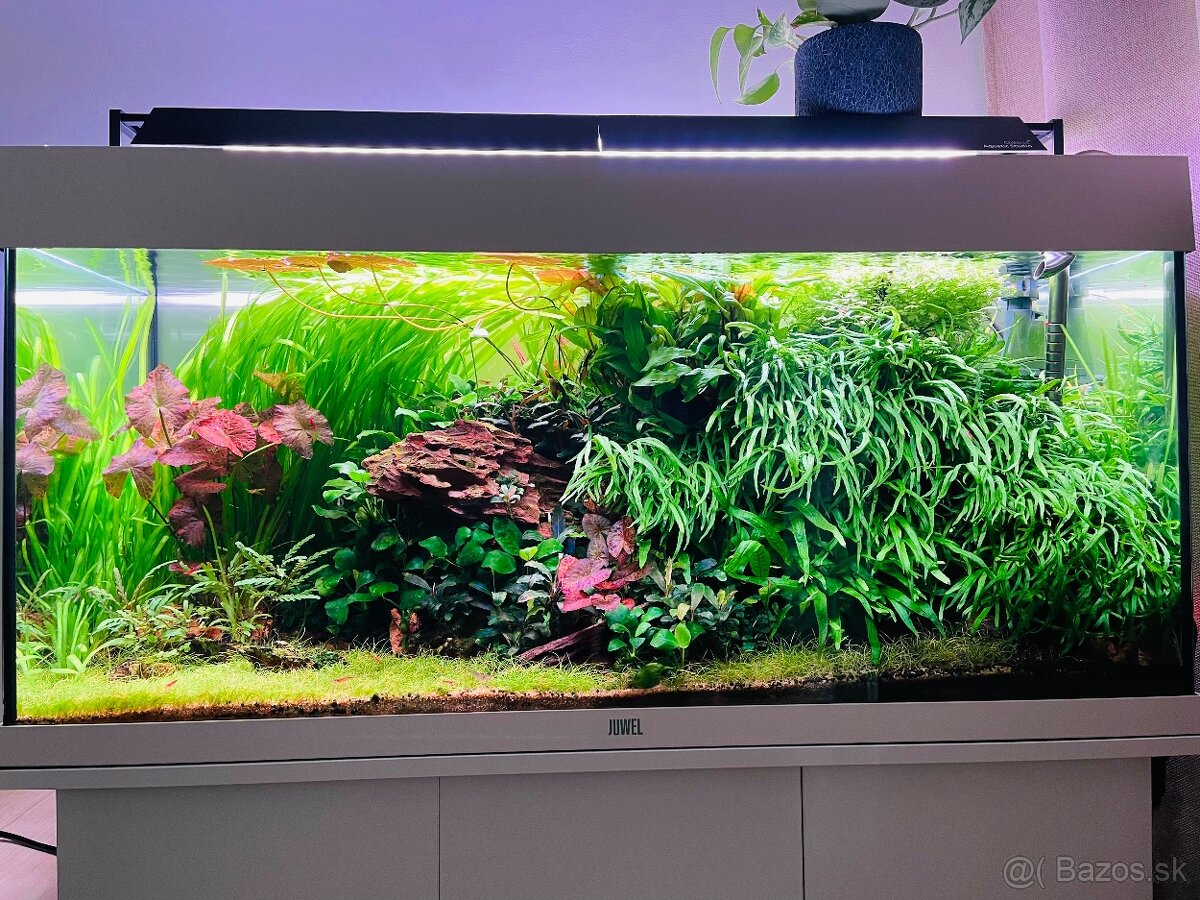 Akváriový set JUWEL Rio 180