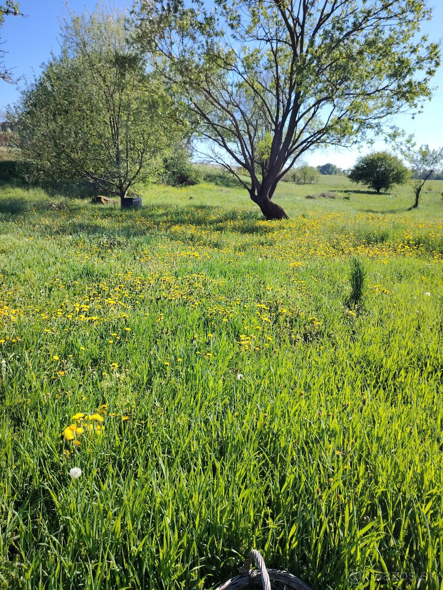 Ponúkam  peknú , veľkú ,  záhradu