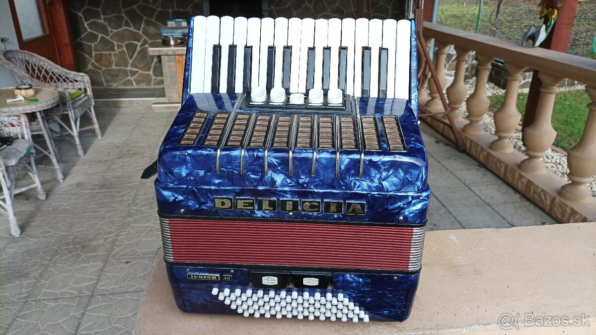 Harmonika -Akordeon.Delícia Junior 72basová.