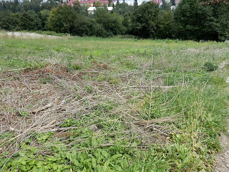 Na predaj veľký stavebný pozemok priamo v Pov. Bystrici