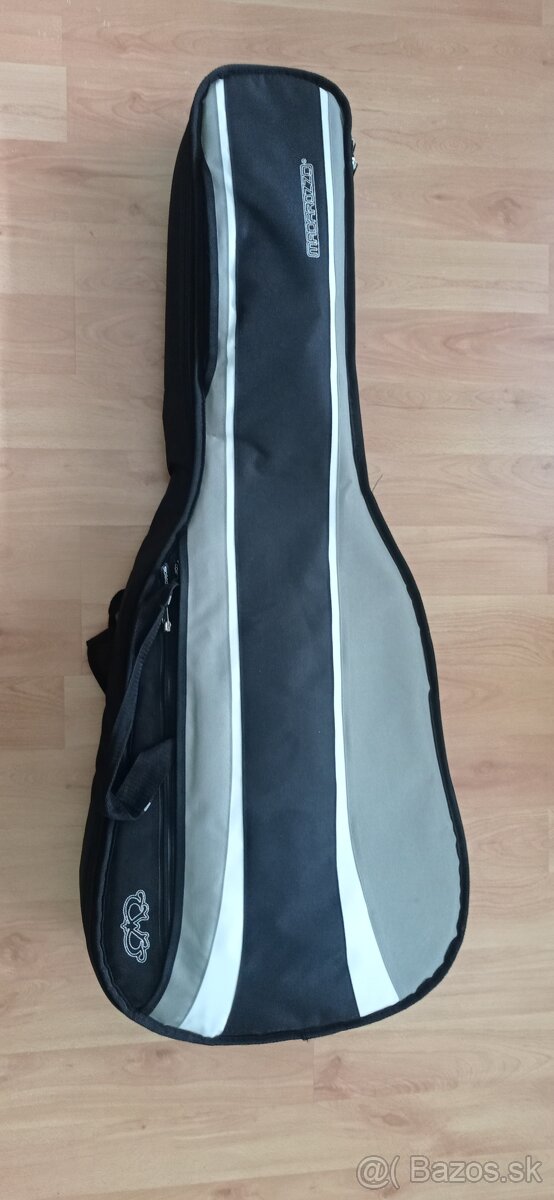 Akustická gitara Takamine