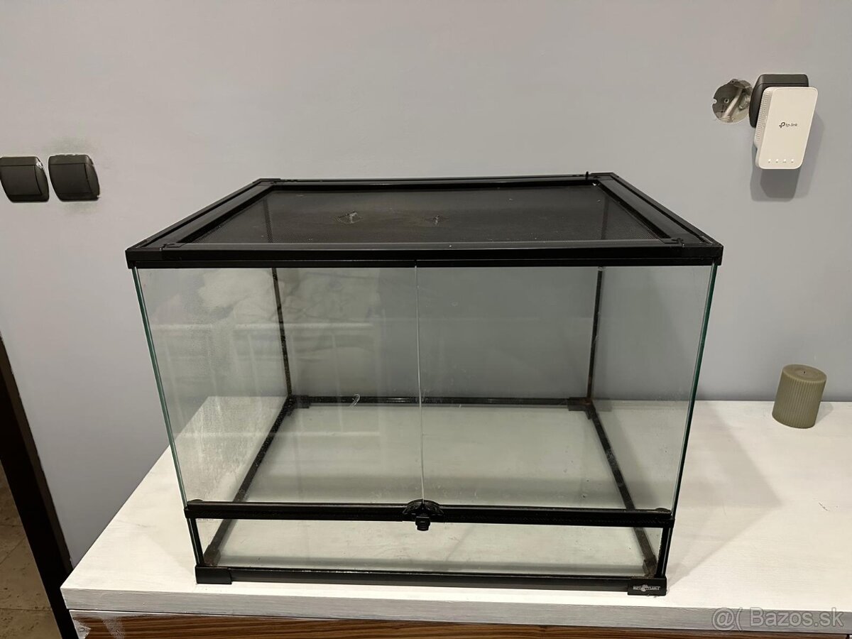 Terarium